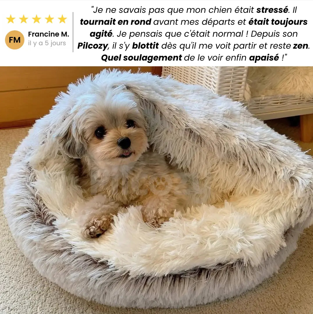 Lit Cocon Thérapeutique Pilcozy™️ Ma boutique