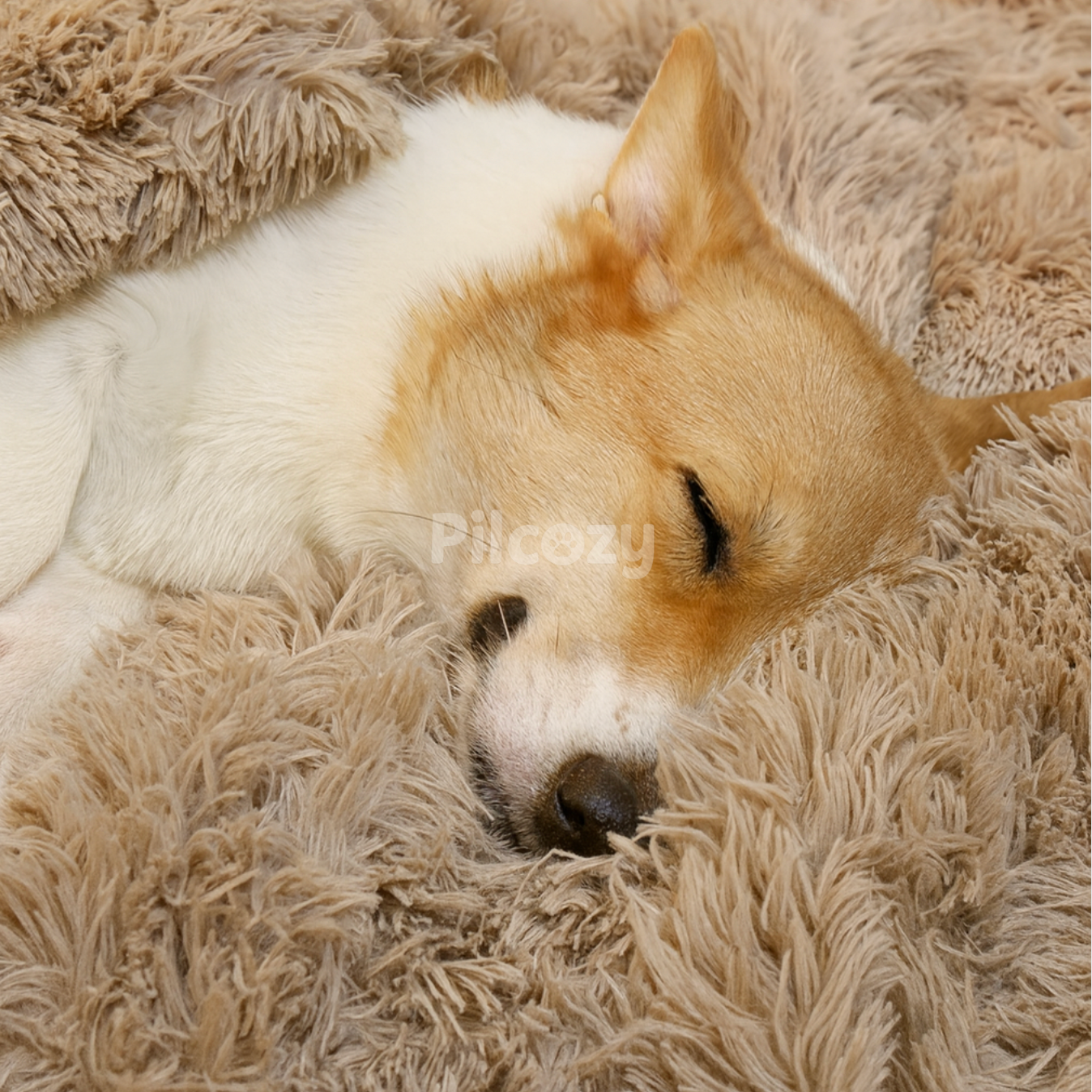 Couverture Apaisante Pilcozy™ Pilcozy