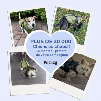 Manteau d'Hiver 3 en 1 Pilcozy™️
