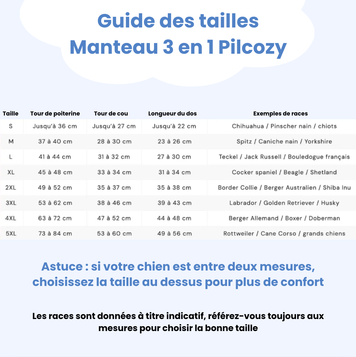 Manteau d'Hiver 3 en 1 Pilcozy™️